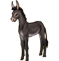 Ane