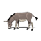 Ane Somalien