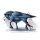 Antartica Glace