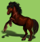 Dark Cob
