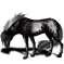 Dark Paint Horse RJ