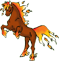 Feu