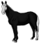 Holstein