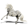Knabstrup