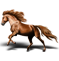 Lusitanien