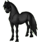 Noire