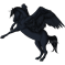 Pégase Noir