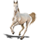 Perlino