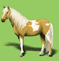 Pie Palomino