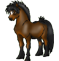 Poney Bai Brun