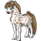 Poney Léopard