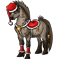 Poney Noël 2011 Louvet BM