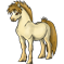 Poney Perlino