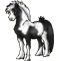 Poney Pie Noir