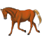 Trakehner